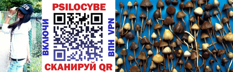 Галлюциногенные грибы Magic Shrooms  Шуя 